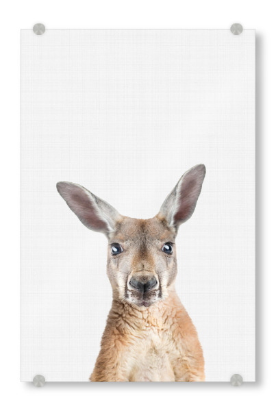 Acrylglasbild "Kangaroo Portrait (Color)" artboxONE - Für Kinder,Tiere - Kangaroo,Kangaroo print,Nursery print,Nursery decor