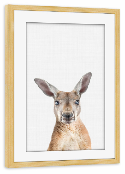 Poster mit Rahmen kiefer "Kangaroo Portrait (Color)" artboxONE - Für Kinder,Tiere - Kangaroo,Kangaroo print,Nursery print,Nursery decor