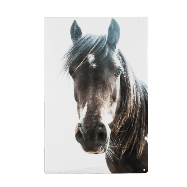 Metall Poster "Brown Horse Head Portrait" artboxONE - Tiere