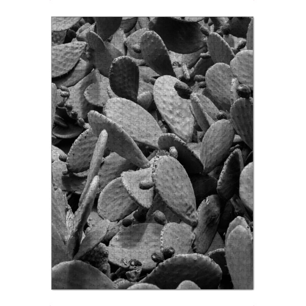 Puzzle Ravensburger "Prickly Cacti" artboxONE - Natur,Schwarzweiß - Cacti,Cactus,Botanitcal,Plant,Leaves,Summer vibes,Botanical - Bild cacti