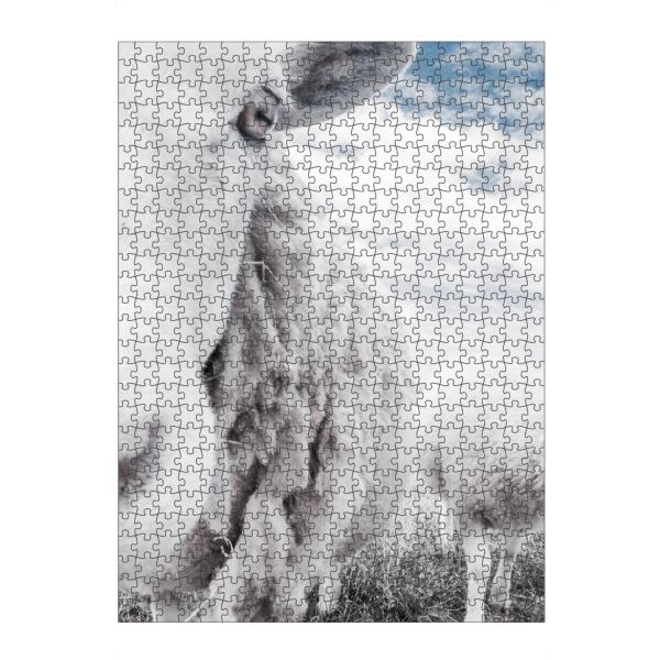 artboxONE Puzzle "Sheeps" artboxONE - Tiere - Sheep,Goat,Landscape,Farm animal,Farm animals - Bild sheep