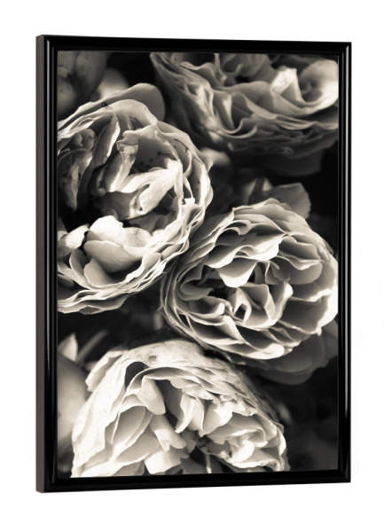 Poster mit schwarzem Rahmen "Petals One" artboxONE - Natur,Floral,Schwarzweiß - Black,White,Nature,Blossom,Flower,Floral,Plant,Black & white,Petals