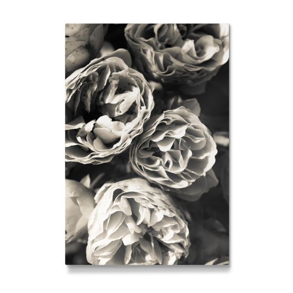 Galerie-Print "Petals One" 30x20 cm artboxONE