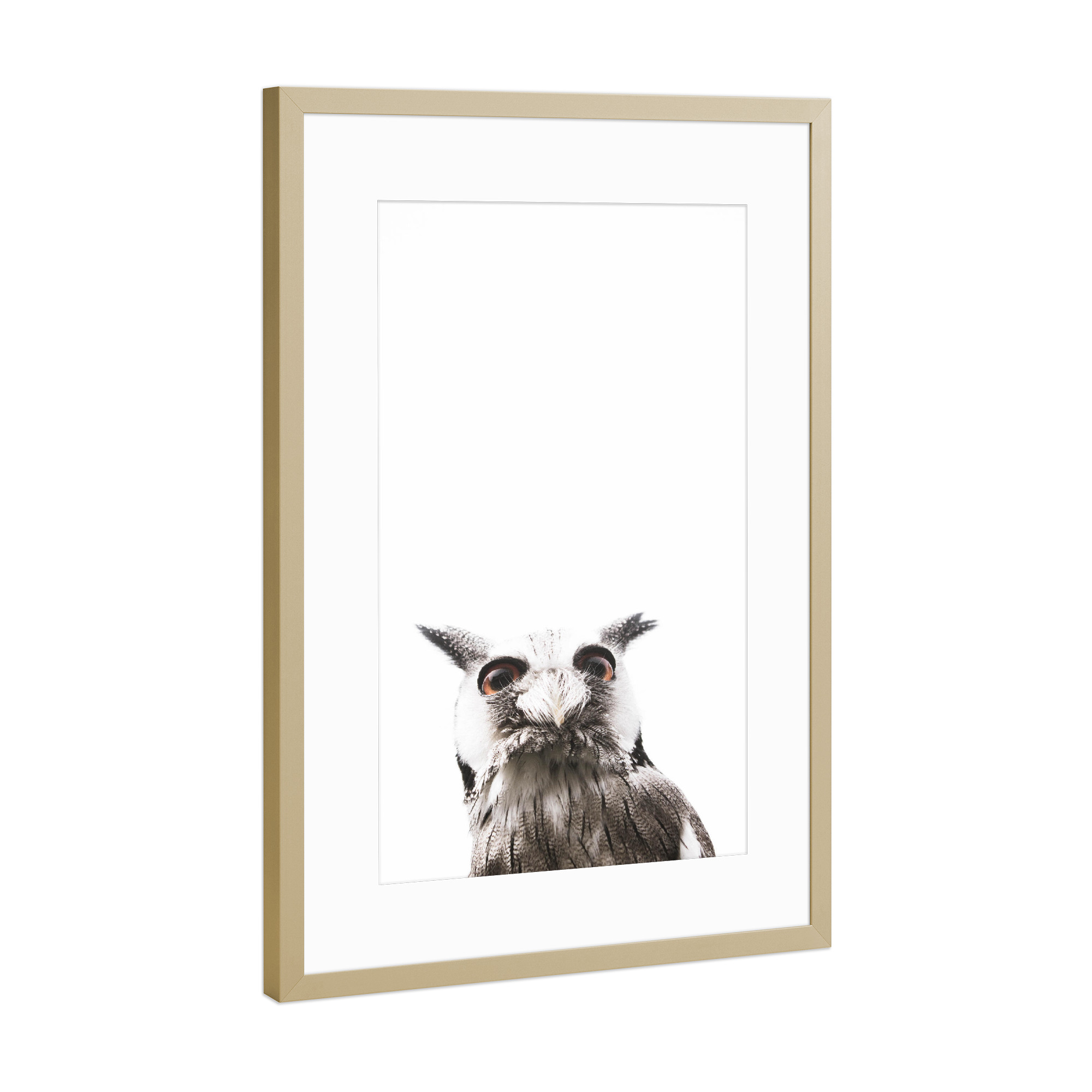 Poster mit Rahmen Gold "Lil Owl" artboxONE - Tiere