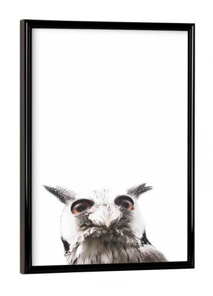 Poster mit schwarzem Rahmen "Lil Owl" artboxONE - Tiere