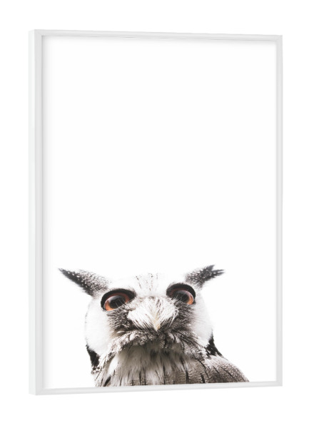 Poster mit weißem Rahmen "Lil Owl" artboxONE - Tiere