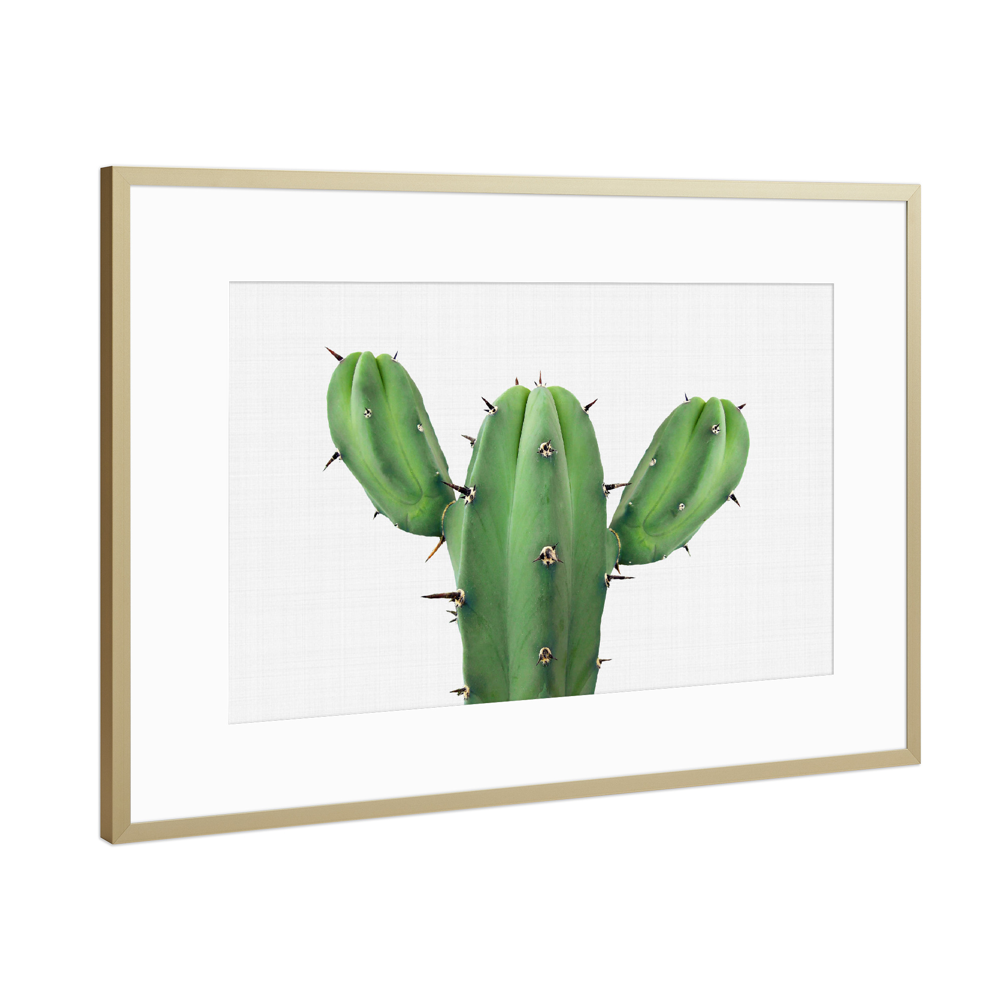 Poster mit Rahmen Gold "Green Cactus" artboxONE - Floral - Cactus,Cacti,Cactus art,Cactus print,Succulent,Pflanze,Kaktus,Kakteen,Wüste