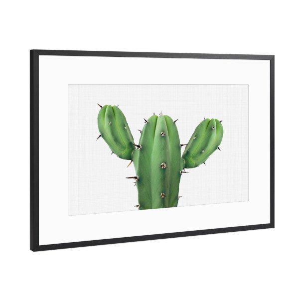 Poster mit Rahmen Schwarz (Metallic) "Green Cactus" artboxONE - Floral - Cactus,Cacti,Cactus art,Cactus print,Succulent,Pflanze,Kaktus,Kakteen,Wüste
