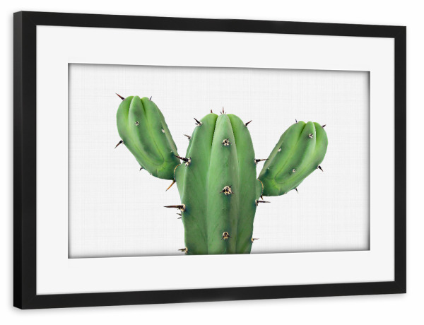 Poster mit Rahmen schwarz "Green Cactus" artboxONE - Floral - Cactus,Cacti,Cactus art,Cactus print,Succulent,Pflanze,Kaktus,Kakteen,Wüste