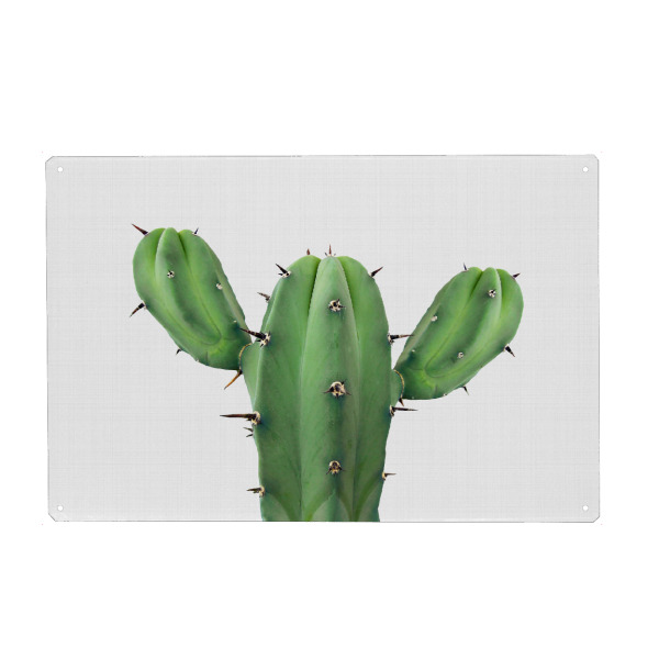 Metall Poster "Green Cactus" artboxONE - Floral - Cactus,Cacti,Cactus art,Cactus print,Succulent,Pflanze,Kaktus,Kakteen,Wüste - Blechschild