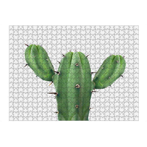 artboxONE Puzzle "Green Cactus" artboxONE - Floral - Cactus,Cacti,Cactus art,Cactus print,Succulent,Pflanze,Kaktus,Kakteen,Wüste - Bild cactus