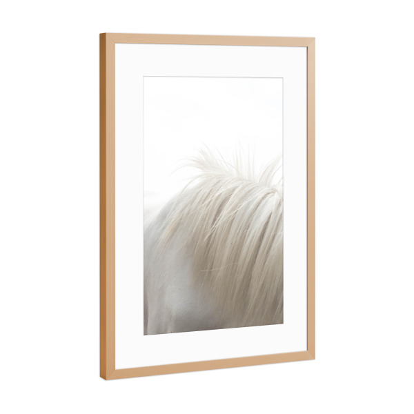 Poster mit Rahmen Kupfer "Horses Mane" artboxONE - Tiere