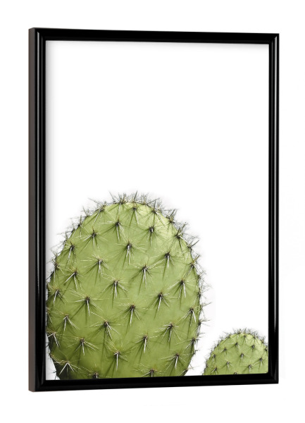 Poster mit schwarzem Rahmen "Cactus Photo" artboxONE - Natur,Floral - Kaktus,Sukkulente