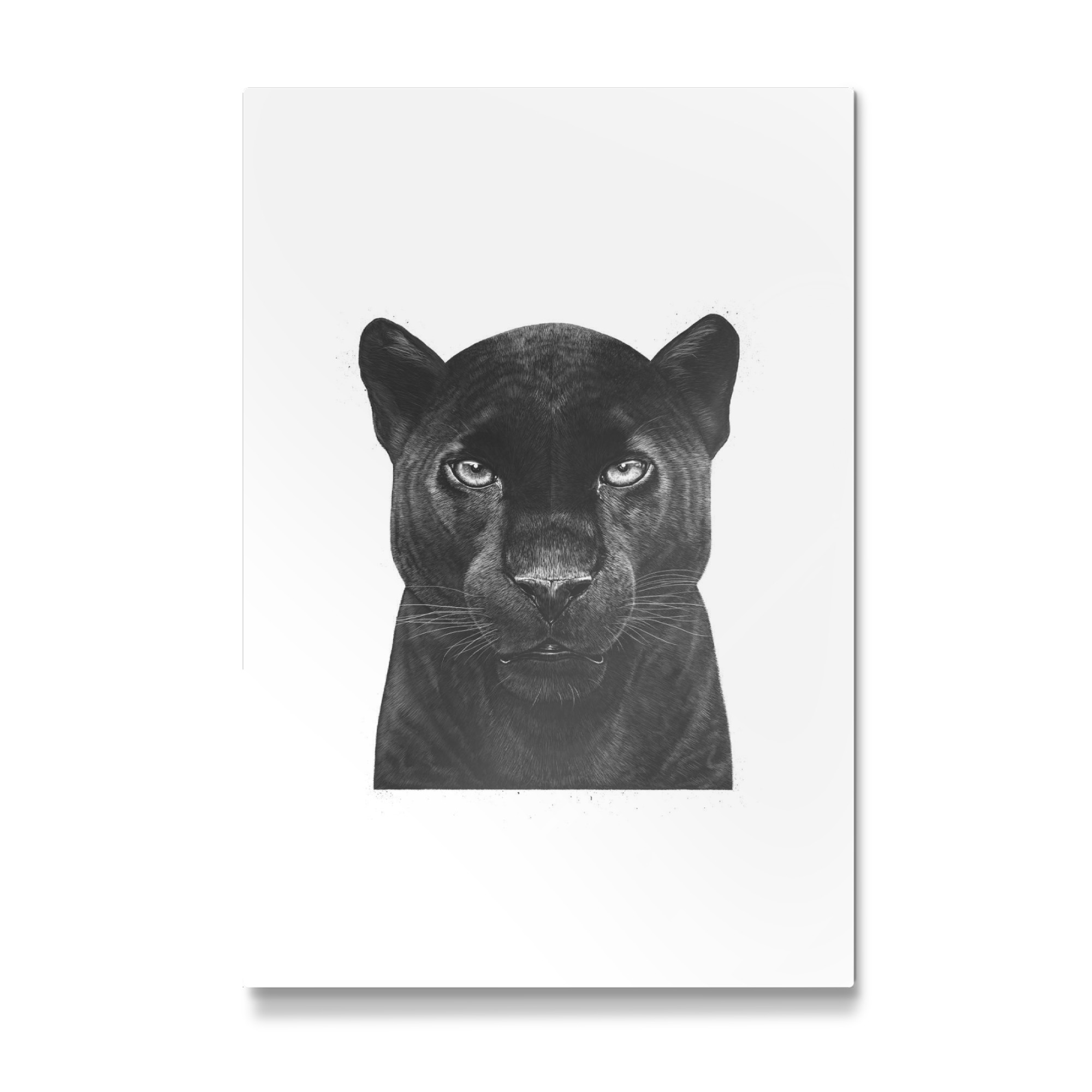 Galerie-Print "Black Panther" 30x20 cm artboxONE