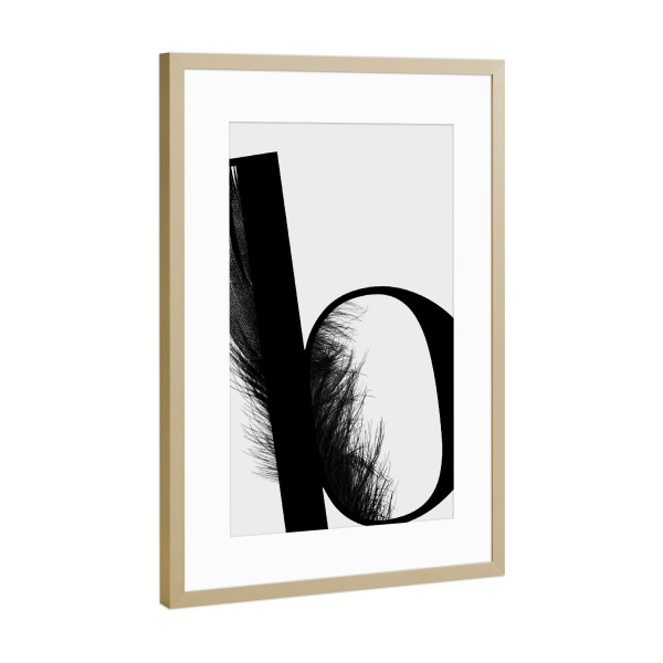 Poster mit Rahmen Gold "Flying Letter -B" artboxONE - Schwarzweiß,Buchstaben,Buchstaben / B
