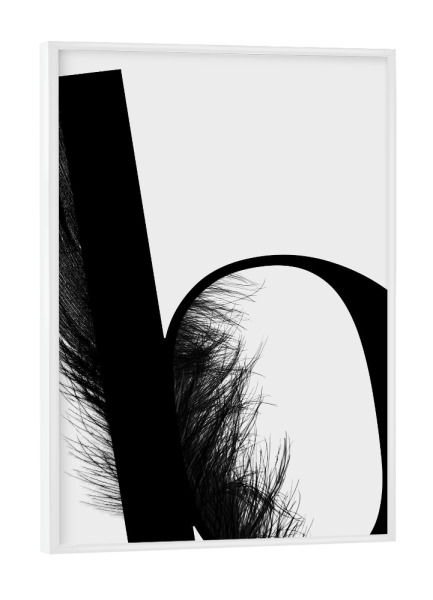 Poster mit weißem Rahmen "Flying Letter -B" artboxONE - Schwarzweiß,Buchstaben,Buchstaben / B