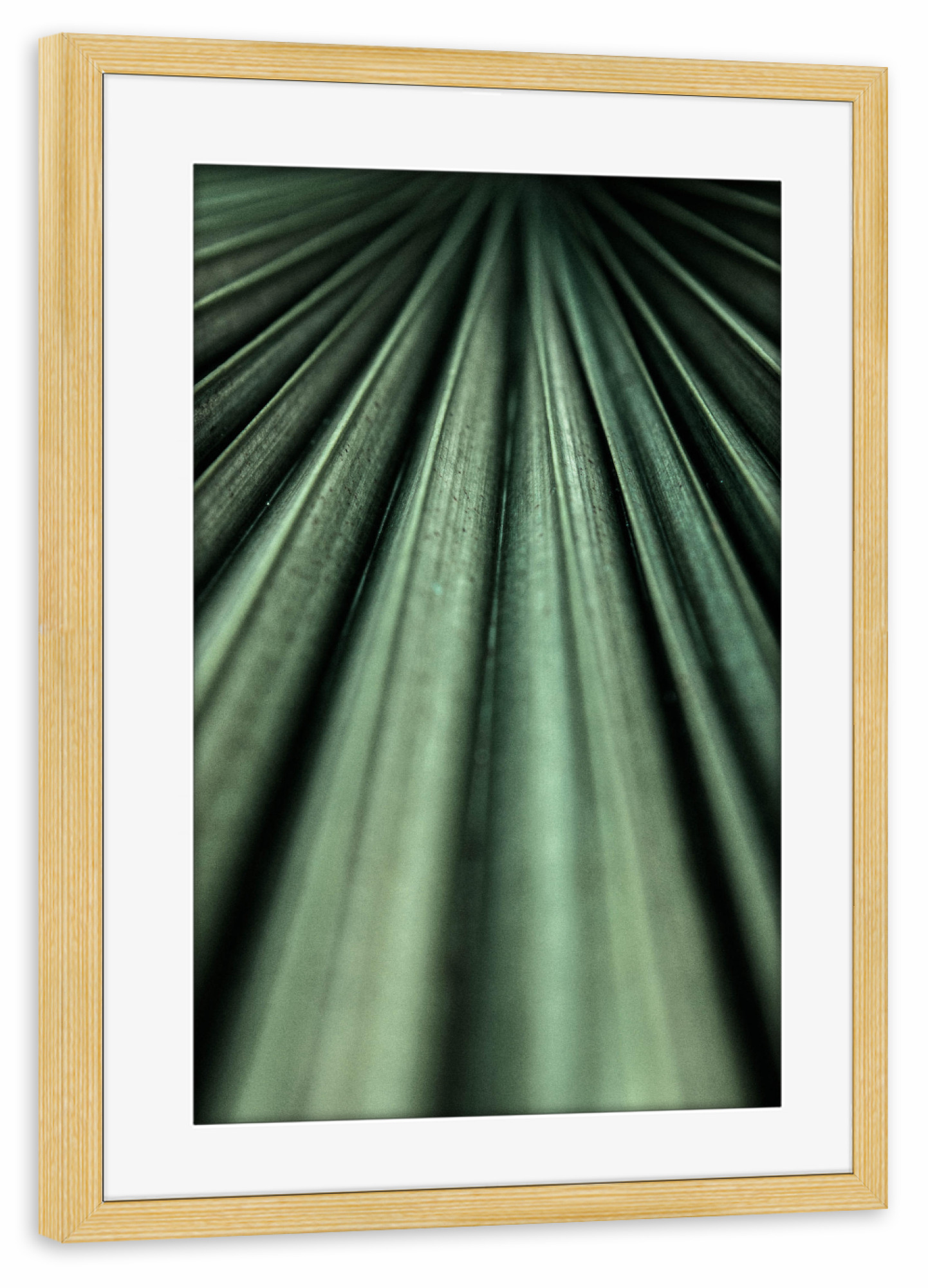 Poster mit Rahmen kiefer "Deep Green Green Palm Leaf" artboxONE - Natur,Floral