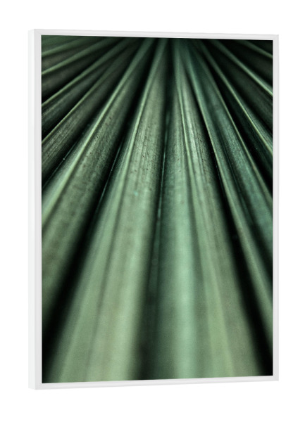 Poster mit weißem Rahmen "Deep Green Green Palm Leaf" artboxONE - Natur,Floral