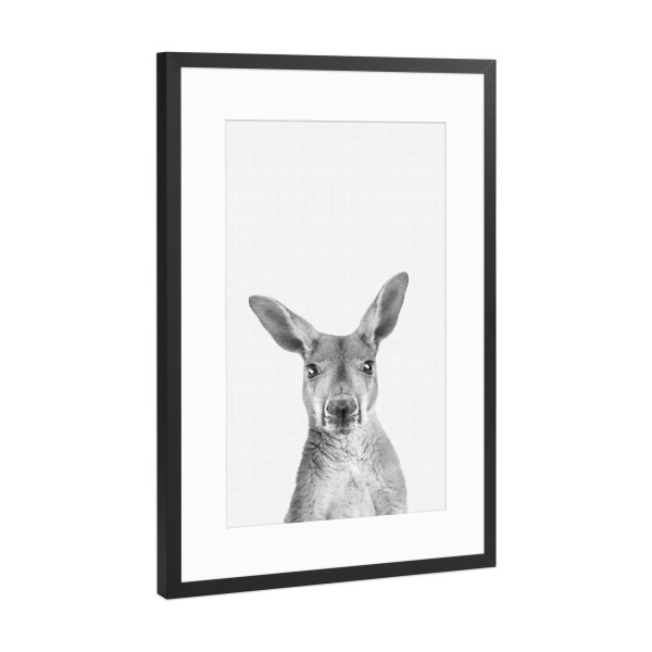 Poster mit Rahmen Schwarz (Metallic) "Kangaroo Portrait" artboxONE - Tiere,Schwarzweiß - Kangaroo,Portrait,Animal