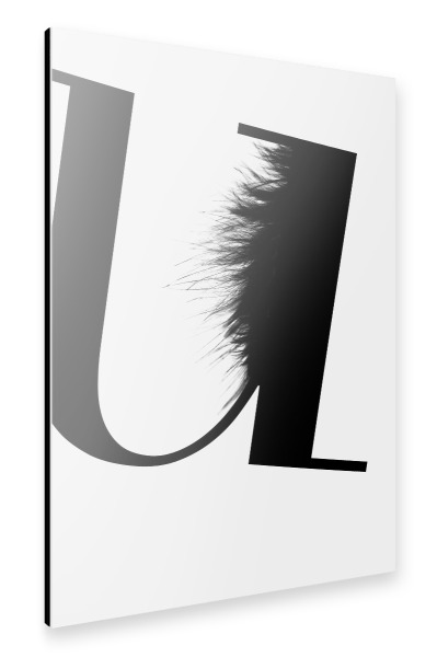 Alu-Dibond "Flying Letter -U" 30x20 cm artboxONE