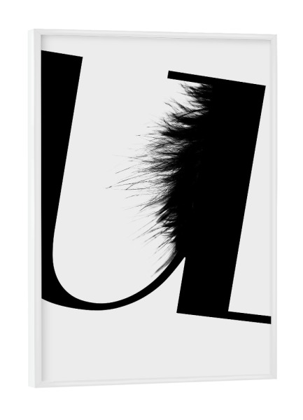 Poster mit weißem Rahmen "Flying Letter -U" artboxONE - Schwarzweiß,Buchstaben,Buchstaben / U