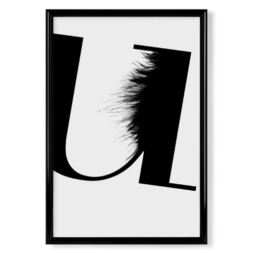 Flying Letter -U