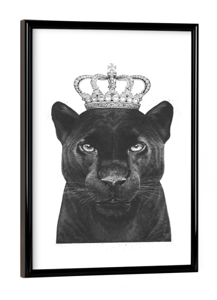 Poster mit schwarzem Rahmen "The King Panther" artboxONE - Tiere,Schwarzweiß - Panther,Royal,King,Crown