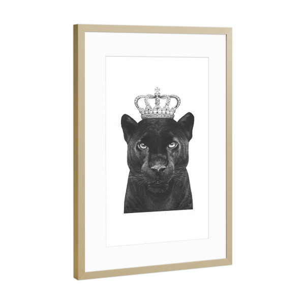 Poster mit Rahmen Gold "The King Panther" artboxONE - Tiere,Schwarzweiß - Panther,Royal,King,Crown