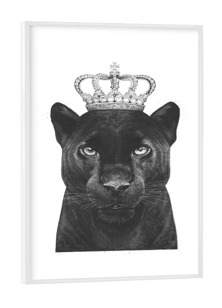 Poster mit weißem Rahmen "The King Panther" artboxONE - Tiere,Schwarzweiß - Panther,Royal,King,Crown