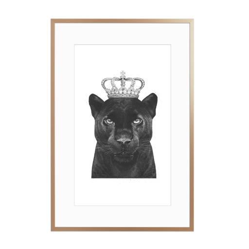 The King Panther