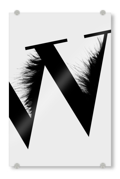 Acrylglasbild "Flying Letter -W" artboxONE - Schwarzweiß,Buchstaben,Buchstaben / W