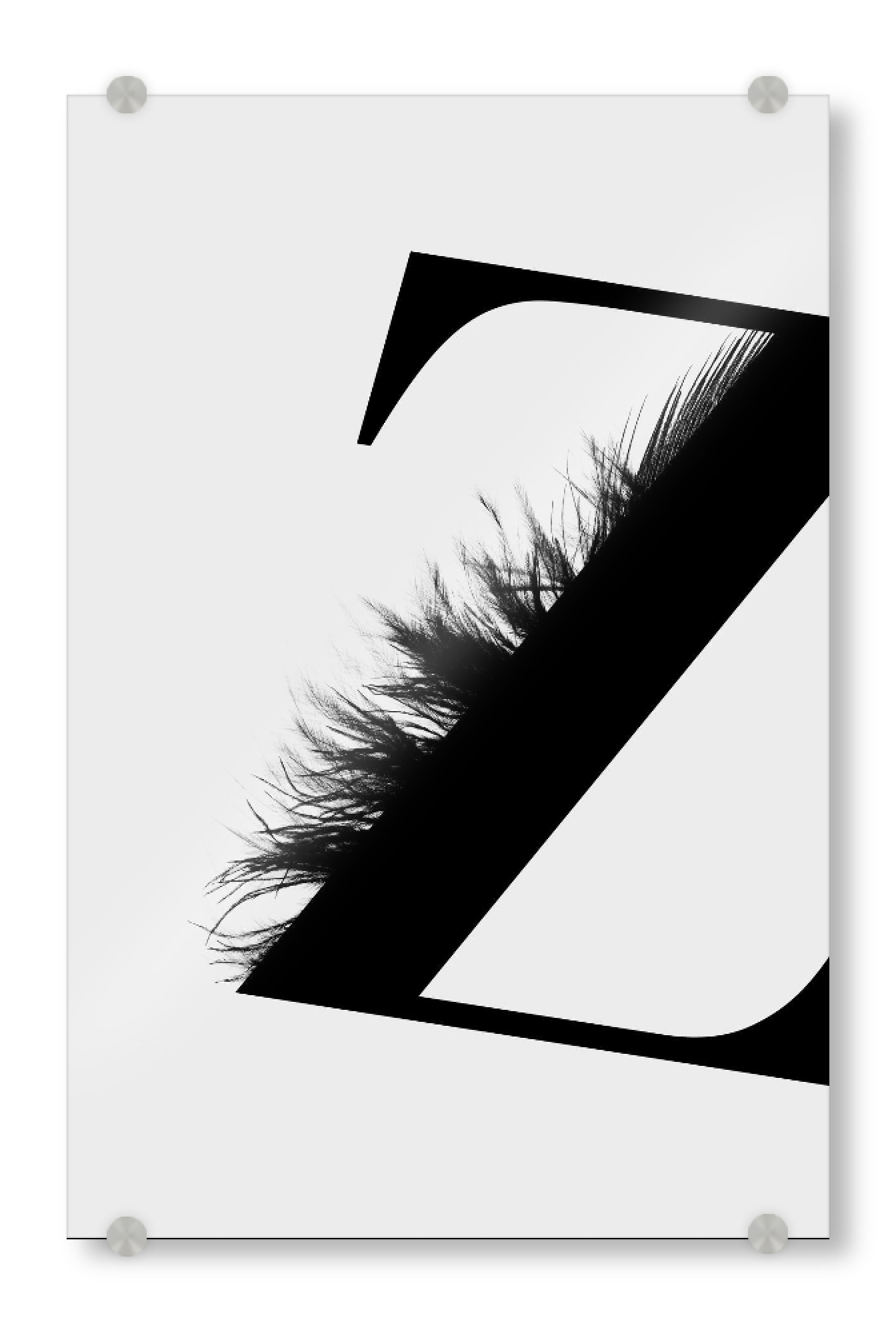 Acrylglasbild "Flying Letter -Z" artboxONE - Schwarzweiß,Buchstaben,Buchstaben / Z