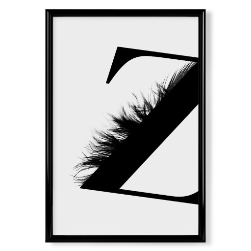 Flying Letter -Z