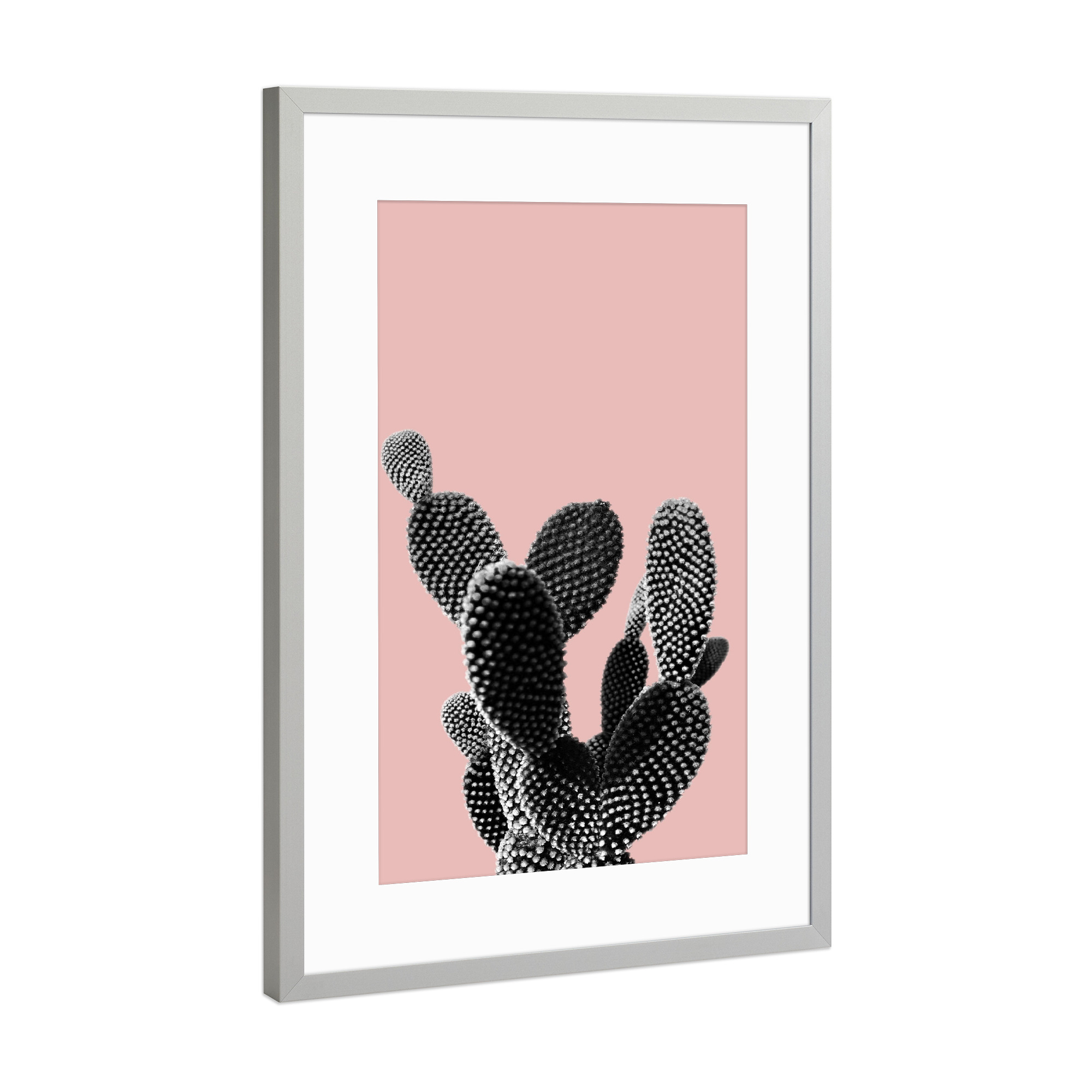 Poster mit Rahmen Silber "Cacti Collage" artboxONE - Floral - Kaktus,Sukkulente,Pflanze