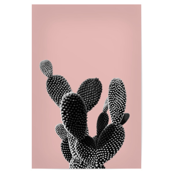 Poster "Cacti Collage" artboxONE - Floral - Kaktus,Sukkulente,Pflanze