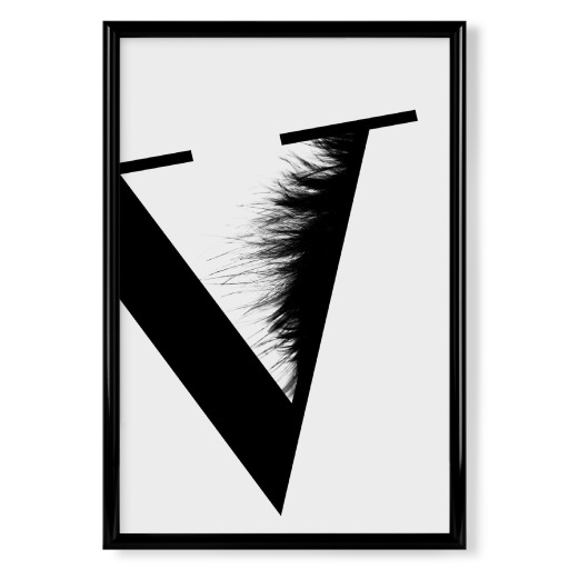 Flying Letter-V