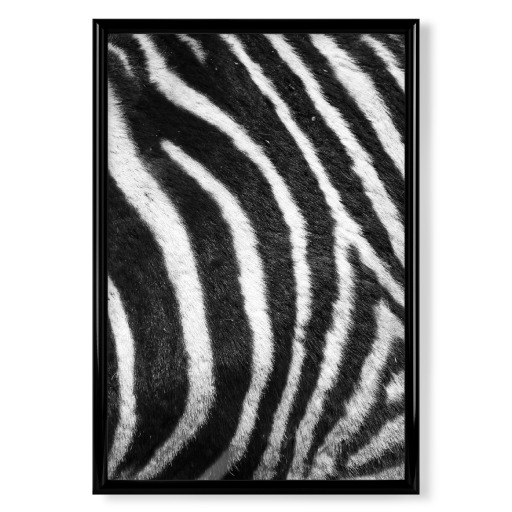 Zebra Pattern schwarzweiss Zebra Pattern schwarzweiss