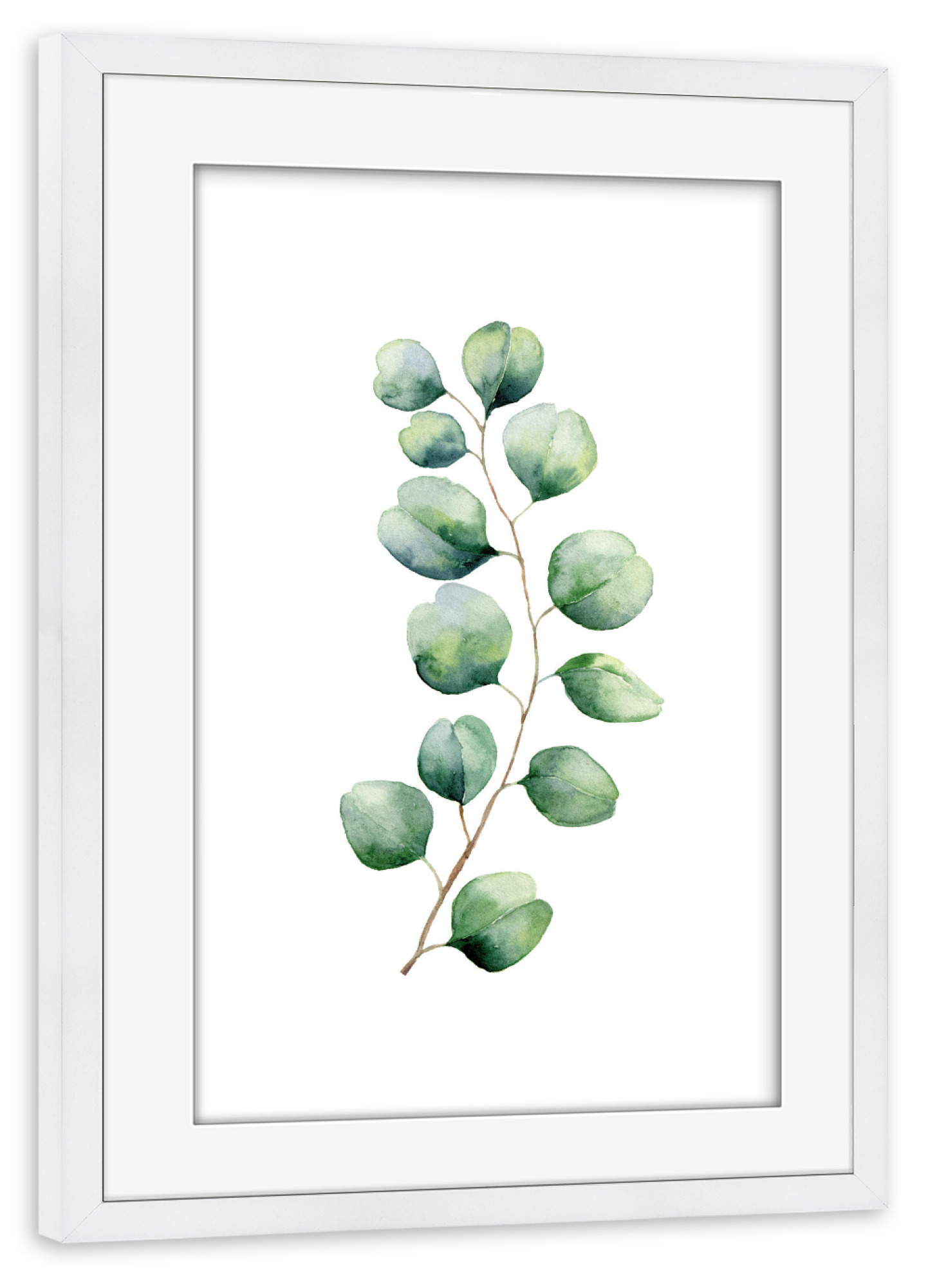 Poster mit Rahmen weiß "Eucalyptus Illustration" artboxONE - Floral - Eukalyptus,Zweig