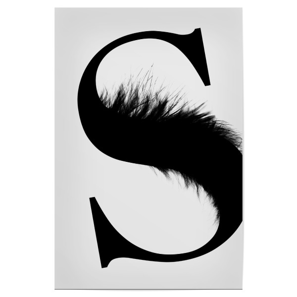 Poster 30x20 cm "Flying Letter -S" artboxONE - Schwarzweiß,Buchstaben,Buchstaben / S