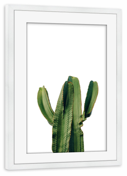 Poster mit Rahmen weiß "Succulent Photography" artboxONE - Natur,Floral - Kaktus,Sukkulente