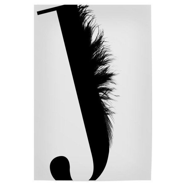 Poster 30x20 cm "Flying Letter -J" artboxONE - Schwarzweiß,Buchstaben,Buchstaben / J