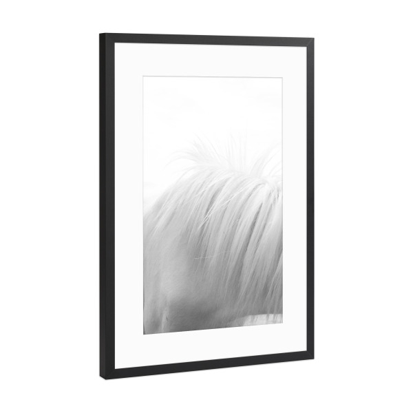Poster mit Rahmen Schwarz (Metallic) "Horse Mane" artboxONE - Tiere