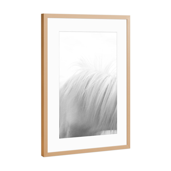 Poster mit Rahmen Kupfer "Horse Mane" artboxONE - Tiere