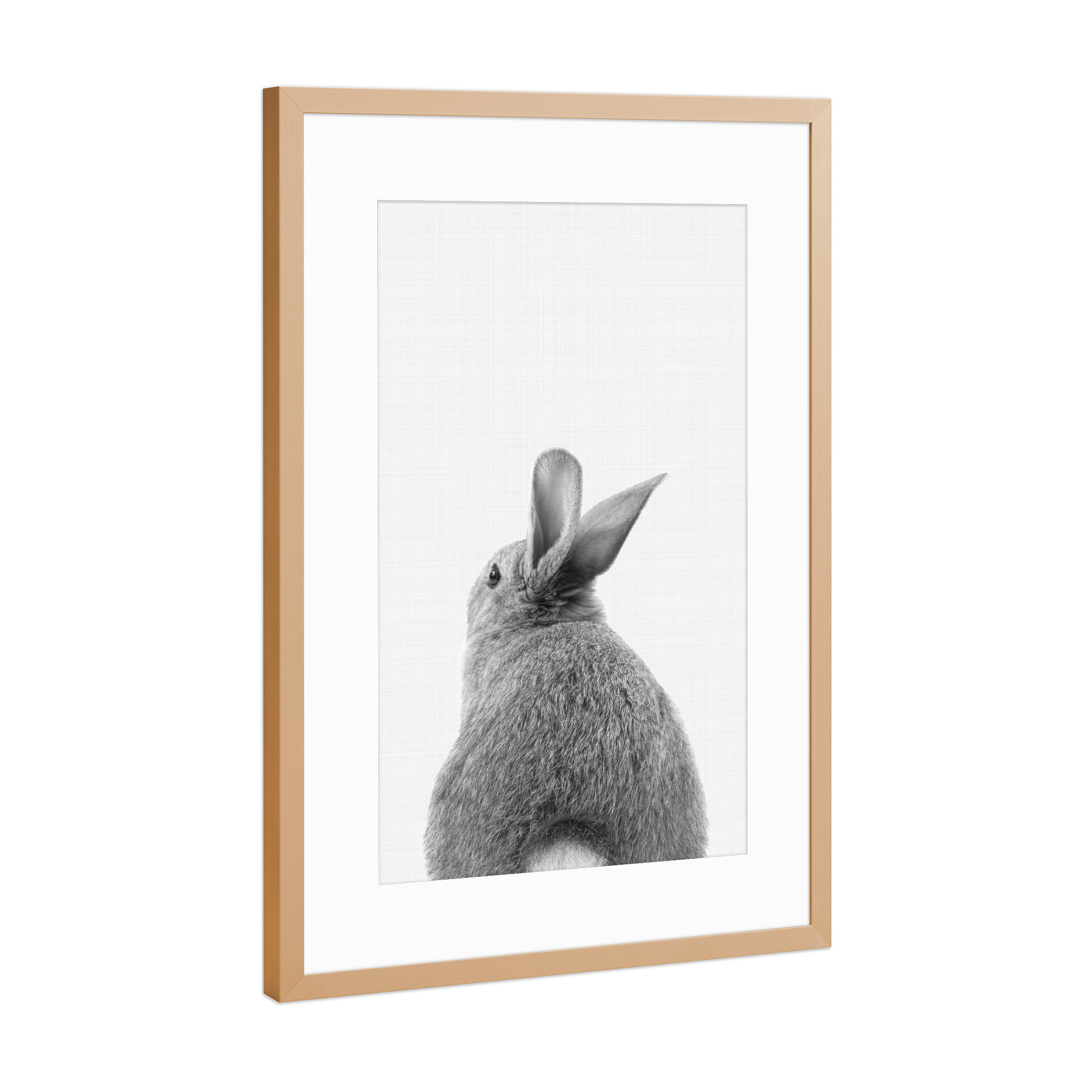 Poster mit Rahmen Kupfer "Bunny Tail (Black and White)" artboxONE - Tiere,Schwarzweiß - Bunny,Rabbit,Animal