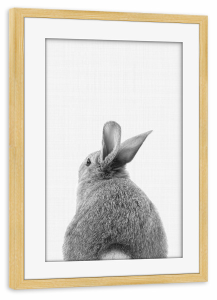 Poster mit Rahmen kiefer "Bunny Tail (Black and White)" artboxONE - Tiere,Schwarzweiß - Bunny,Rabbit,Animal