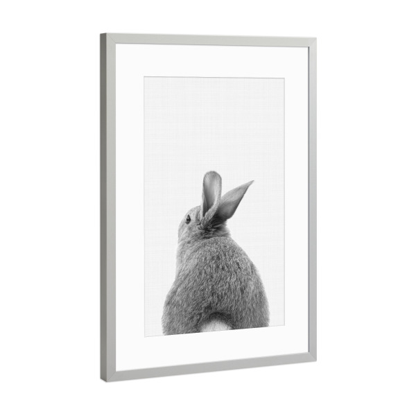 Poster mit Rahmen Silber "Bunny Tail (Black and White)" artboxONE - Tiere,Schwarzweiß - Bunny,Rabbit,Animal