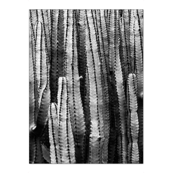 Puzzle Ravensburger "Cacti One" artboxONE - Natur,Schwarzweiß - Cactus,Succulent - Bild cactus