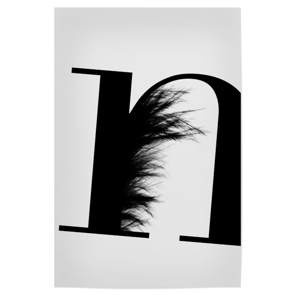Poster 30x20 cm "Flying Letter -N" artboxONE - Schwarzweiß,Buchstaben,Buchstaben / N