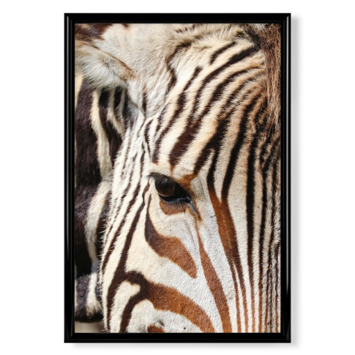 Zebra Streifen Liebe