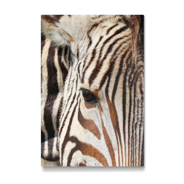 Galerie-Print "Zebra Streifen Liebe" 30x20 cm artboxONE